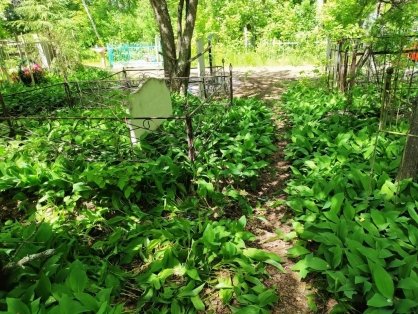 Житель Барабинска предстанет перед судом по обвинению в убийстве женщины